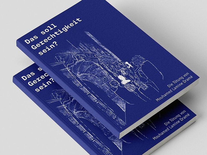 2 Exemplare des Buchs gestapelt. Blaues Cover mit Schrift.