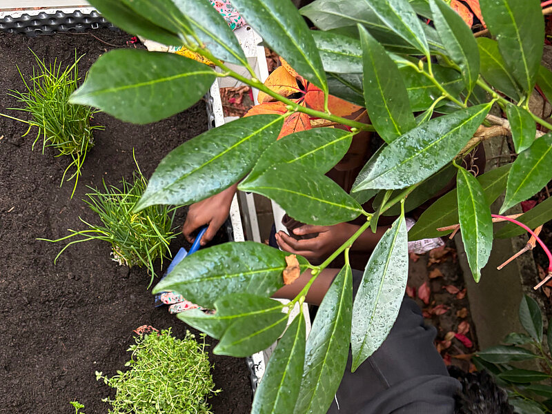 Ein Kind bepflanzt ein Hochbeet. 